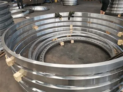 Din?flange 6 Bar Flange