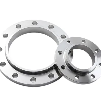 Gost Type 01 Flange