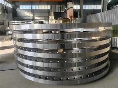 Gost Type 12 Flange